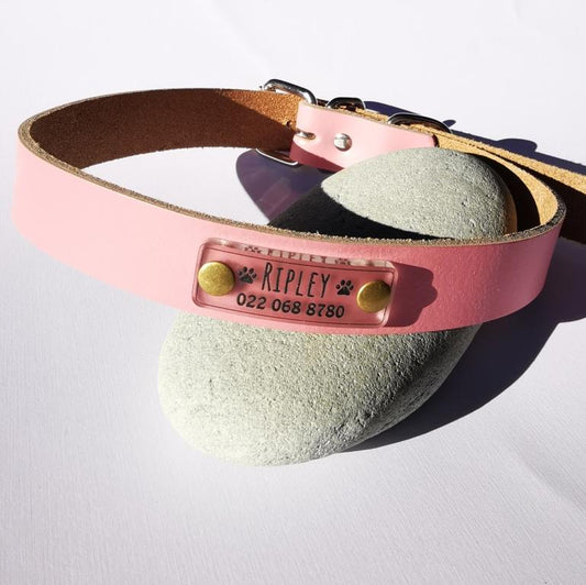 On-collar BadDog (or cat) Tag